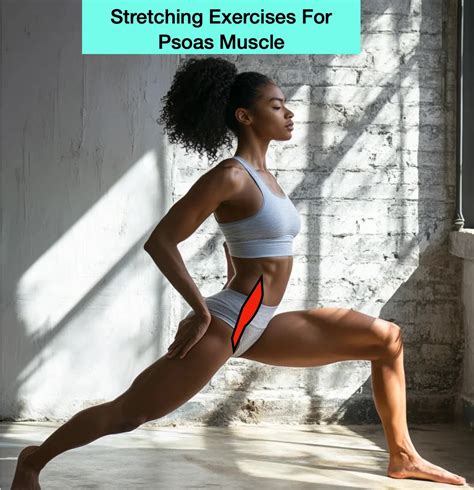 Iliopsoas Muscle Stretch How To Stretch Your Psoas Muscles | Stretch