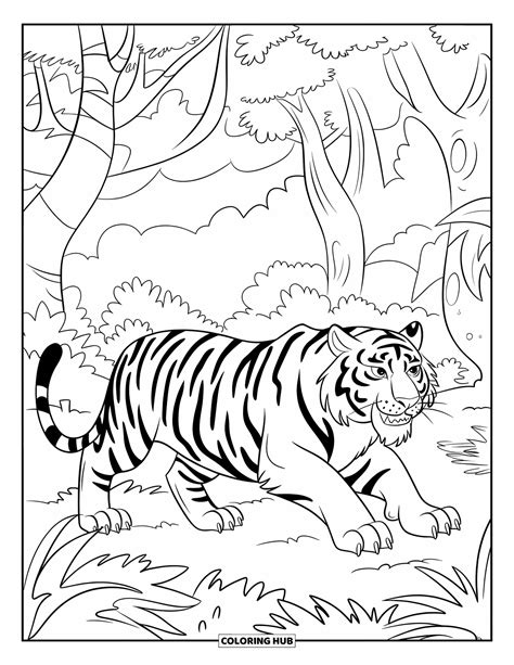 90+ Tiger Coloring Pages for Kids & Adults (Free Printable PDFs)