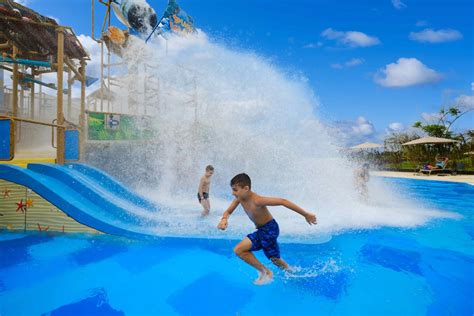 The Importance of Free Play in Aquatic Environments — Life Floor