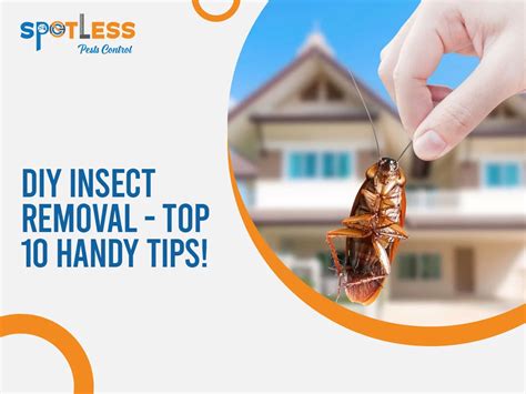 Image result for Insect Removal From Humans