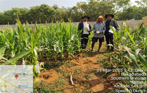 New Hope Seeds India Private Limited
