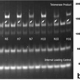 Rezultat imagine pentru Trapeze Method