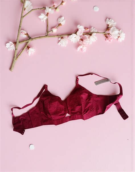 221025BR (E3007-E3077) BLOSSOM COTTON ROUND STITCH BRA - Maroon ...