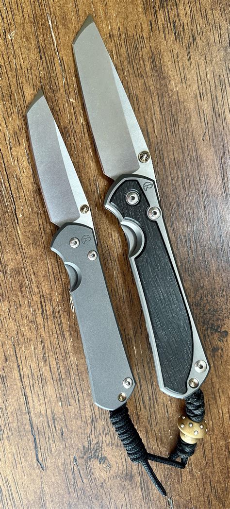 How Fast Do Rabbits Multiply 的图像结果