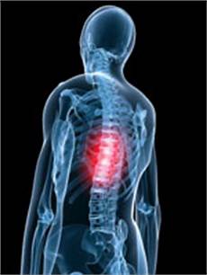 dolore alla gabbia toracica schiena ernia disco toracica osteopata it osteopata a roma dolore alla gabbia toracica schiena ernia disco toracica osteopata it osteopata a roma