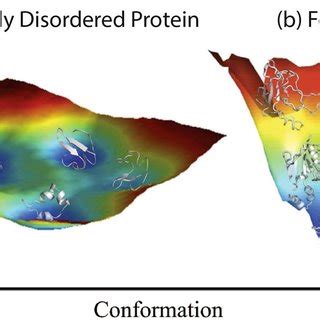 Protein Evolution Landscape 的图像结果