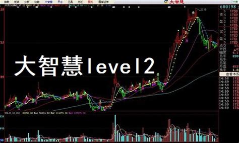 level是什么意思,level1,level(第2页)_大山谷图库