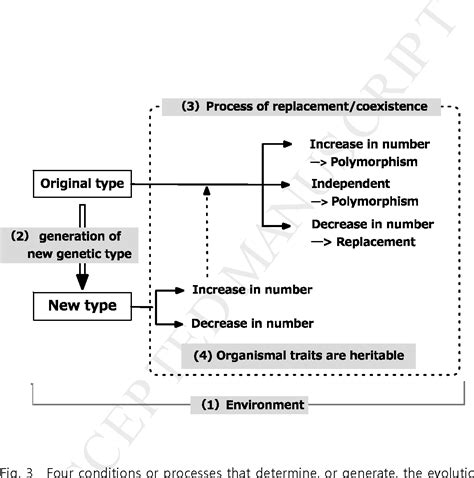Process Of Natural Selection Diagram