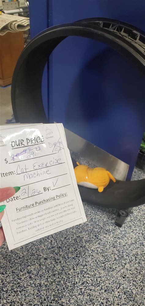 One fast cat wheel for $30🥲 : r/ThriftStoreHauls