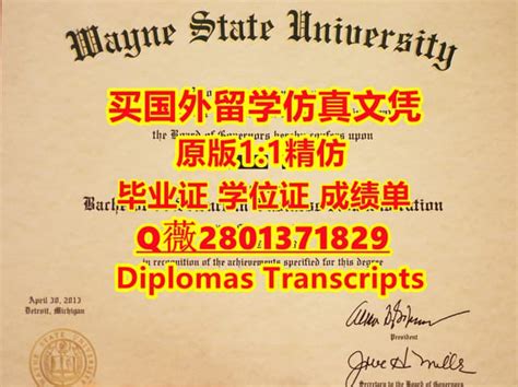 Massey毕业证定制海外高校学位证 | PPT