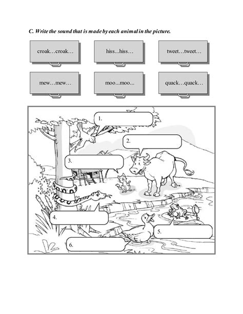 Science KS1 的图像结果
