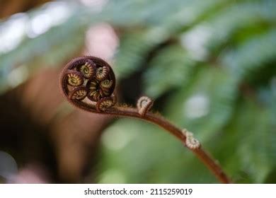Image result for Room Key Encoder Machine