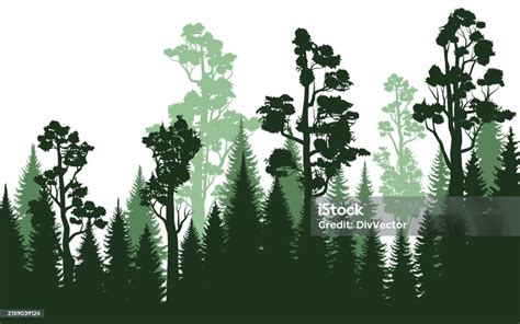 Forest Vector 的图像结果