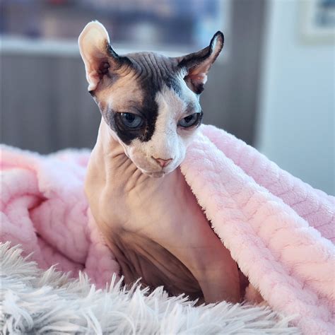 Maru Meaning Japanese