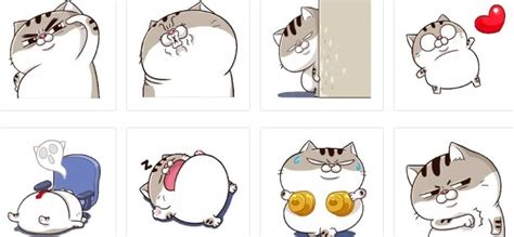 Best Cat Stickers for WhatsApp [And Sticker Maker] 2026