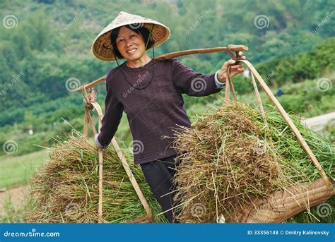 Chinese Agricultural Farm Worker Stock Photo - Image of people, farm: 33356148