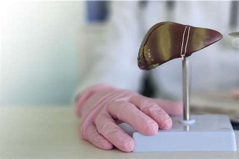 Hepatic Encephalopathy: Causes, Symptoms & Treatment Options