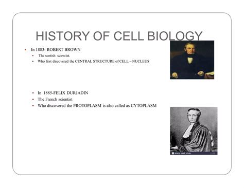 cell and molecular biology final.pdf