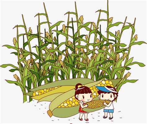Corn Field Vector 的图像结果