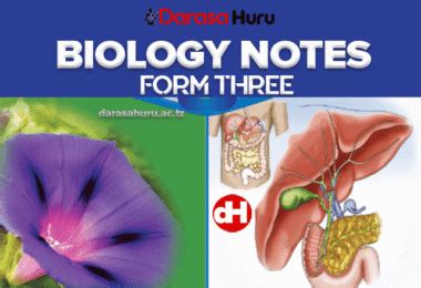 Image result for Form Three Topic