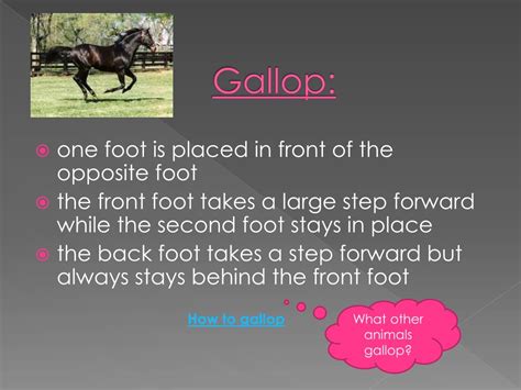 Image result for Galloping Step Example in Locomotor Movements