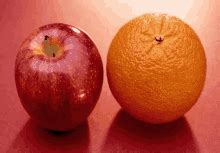 Image result for Webhook Example Python