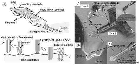 Surface Engineering and Patterning Using Parylene for Biological ...