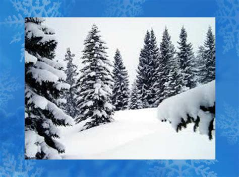 Image result for Sjava Izimpi Zodwa