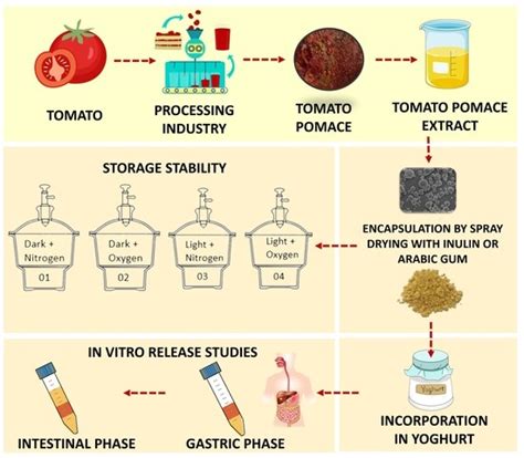Storage Stability and In Vitro Bioaccessibility of Microencapsulated ...