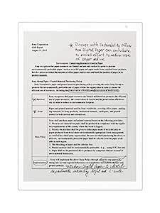 Sony DPT-RP1/W 13” Digital Paper, White : Amazon.in: Electronics