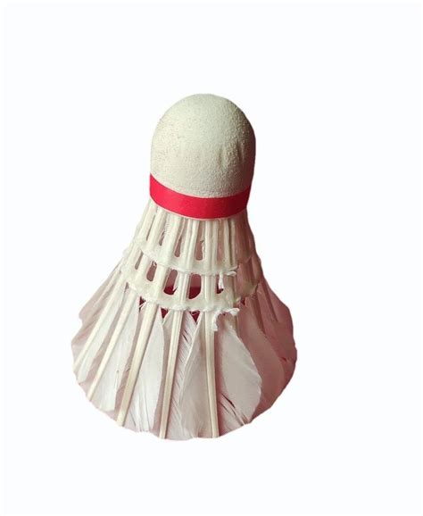 ShuttleCock Box 的图像结果