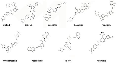 Natural Products Targeting BCR-ABL: A Plant-Based Approach to Chronic ...
