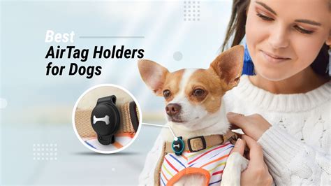 10 Best AirTag Holders for Dogs - Lost Dog No More - Techtouchy