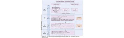 Buy (OLD)TINTINALLI'S EMERGENCY MEDICINE: A COMPREHENSIVE STUDY GUIDE ...