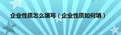 企业性质怎么填写（企业性质如何填）_产业观察网