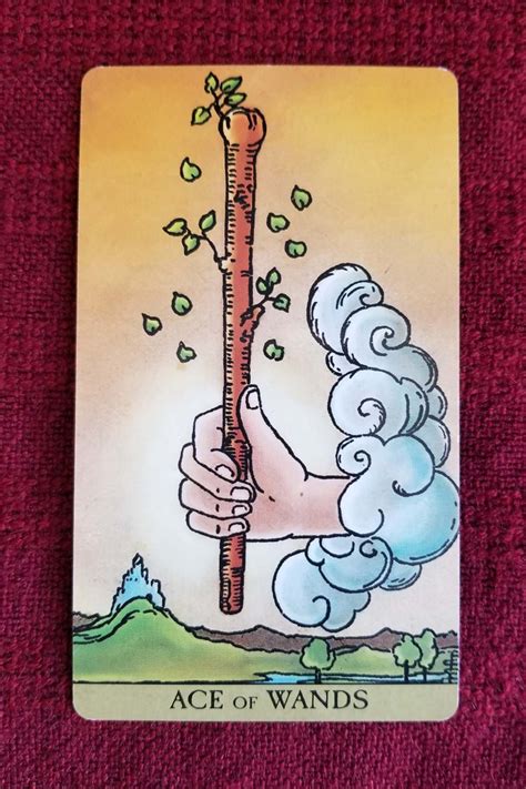 Tarot Card of the Day - ace of wands tarot