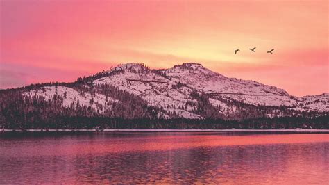 Download wallpaper 2560x1440 mountains, lake, sunset, horizon, birds ...