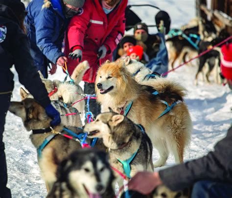 Explore | Dog Sledding , Jackson Hole Magazine