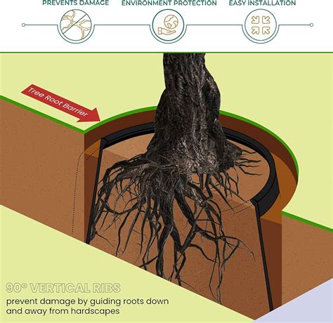 DeepRoot Tree Root Barrier Kit, Versatile Tree India | Ubuy