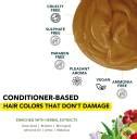 Paradyes Semi-permanent Hair Color jar only 120gm (Honey Blonde ...