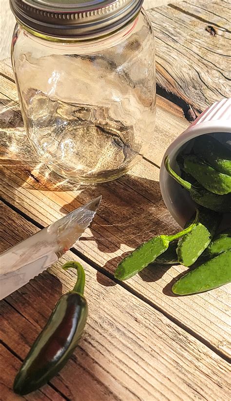 Canned Jalapeno Peppers