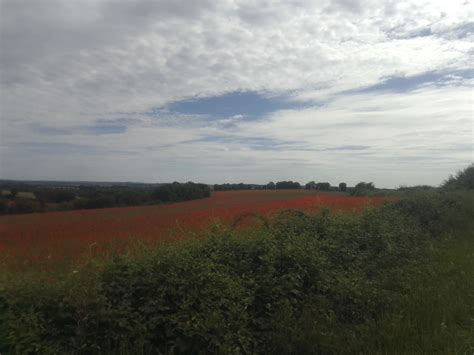 La Nature 的图像结果