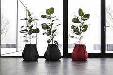 vasi per arredamento interno vasi design per piante da interno garden arredare vasi per arredamento interno vasi design per piante da interno garden arredare