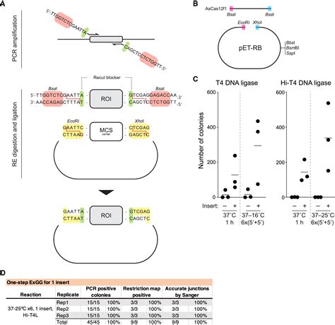 An efficient cloning method to expand vector and restriction site ...