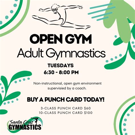 Adult Open Gym - Santa Cruz Gymnastics Center