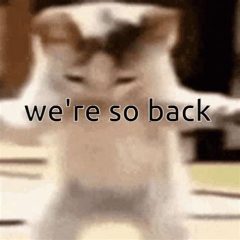 Image result for Cat Sketch Tutorial