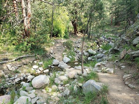 Anne U. White Trail - Colorado | AllTrails