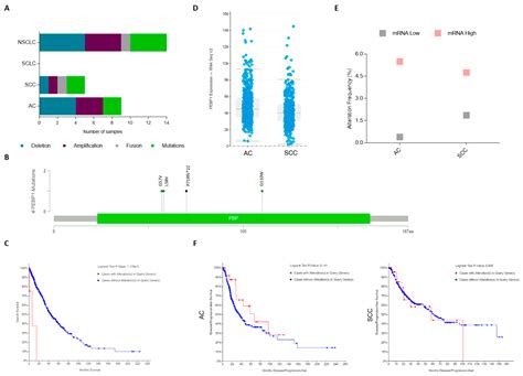 Current Status of Raf Kinase Inhibitor Protein (RKIP) in Lung Cancer ...