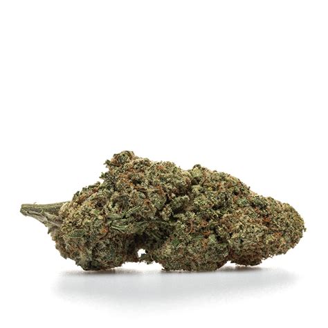 Image result for Alien Hydro