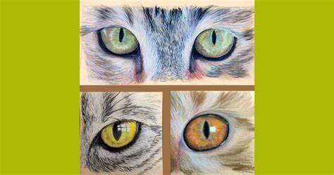 Capturing Cats Eyes in Soft Pastels - workshop , 57 Burton Road, LN1 ...